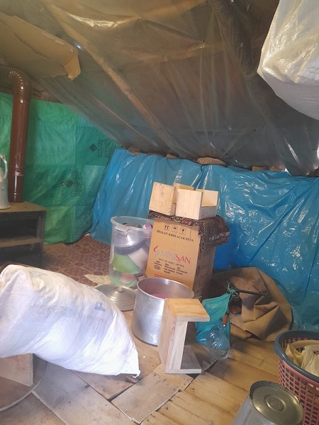 Foto - Ayılar bu evlere dadandı