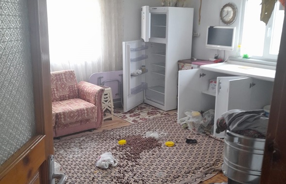 Ayılar bu evlere dadandı