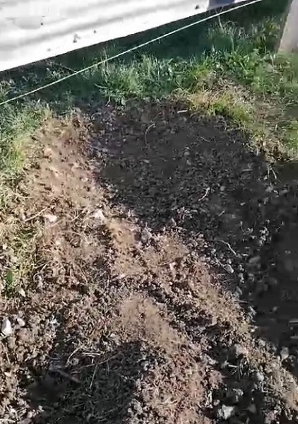 Foto - Ayılar önlem dinlemiyor! Bakın ne yaptılar