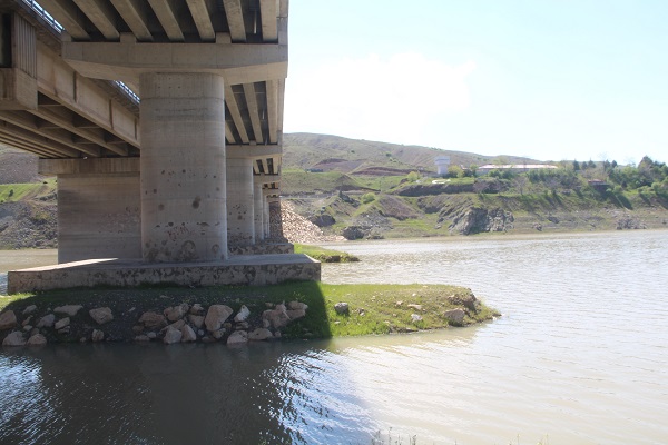 Foto - Aylar önce çekilmişti! Tabelanın arkasında umutlandıran görüntü