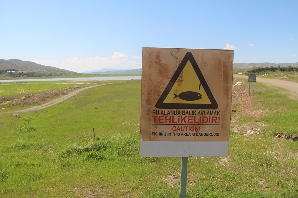 Foto - Aylar önce çekilmişti! Tabelanın arkasında umutlandıran görüntü