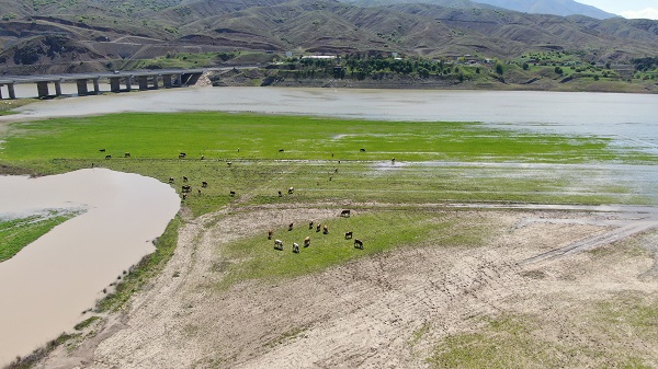 Foto - Aylar önce çekilmişti! Tabelanın arkasında umutlandıran görüntü