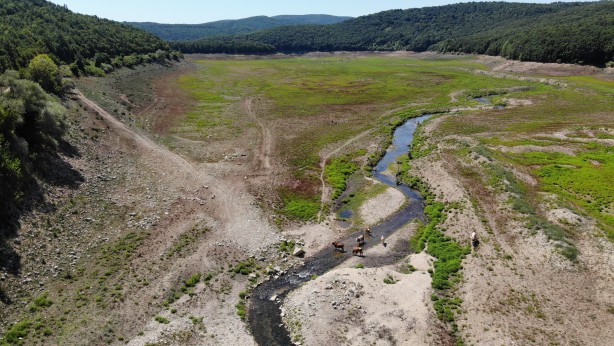 Foto - Aylar öncesine kadar hayvanlar otluyordu! İstanbul'u destekleyen barajlardaki büyük değişim! 