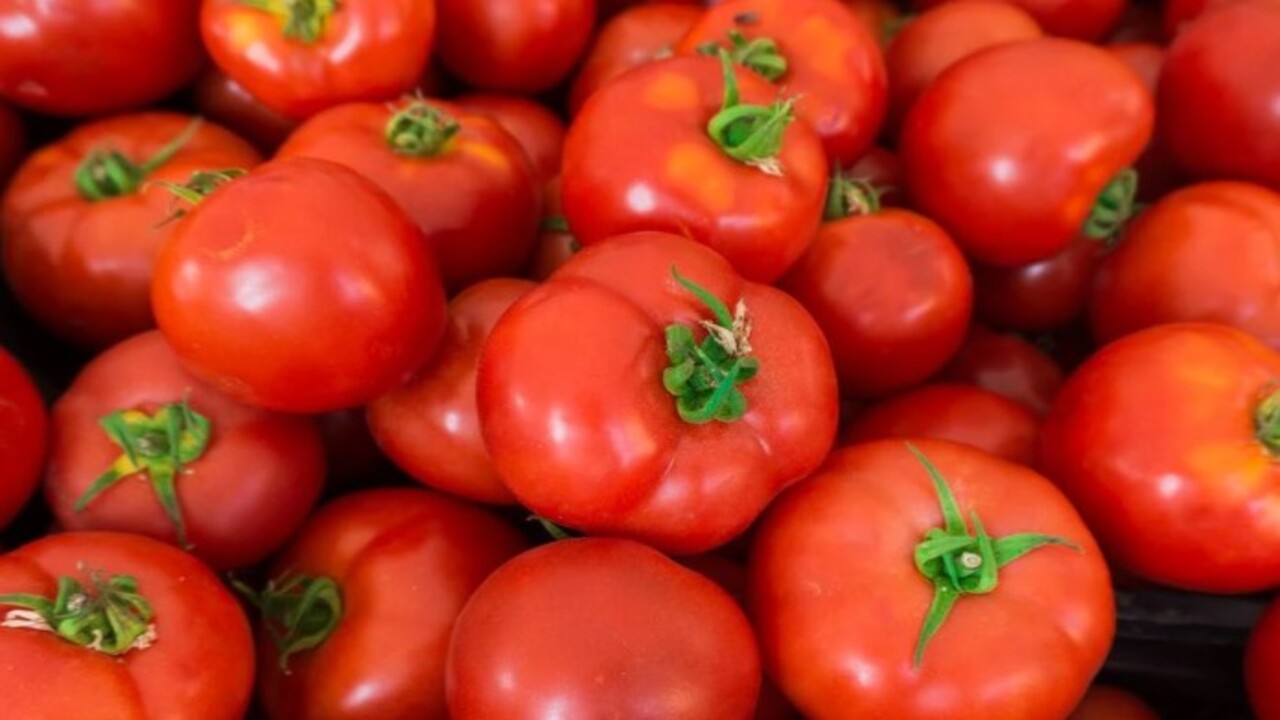 Foto - Aylarca beklese bile taze kalacak! Domatesleri bozulmadan saklamanın doğal yöntemi