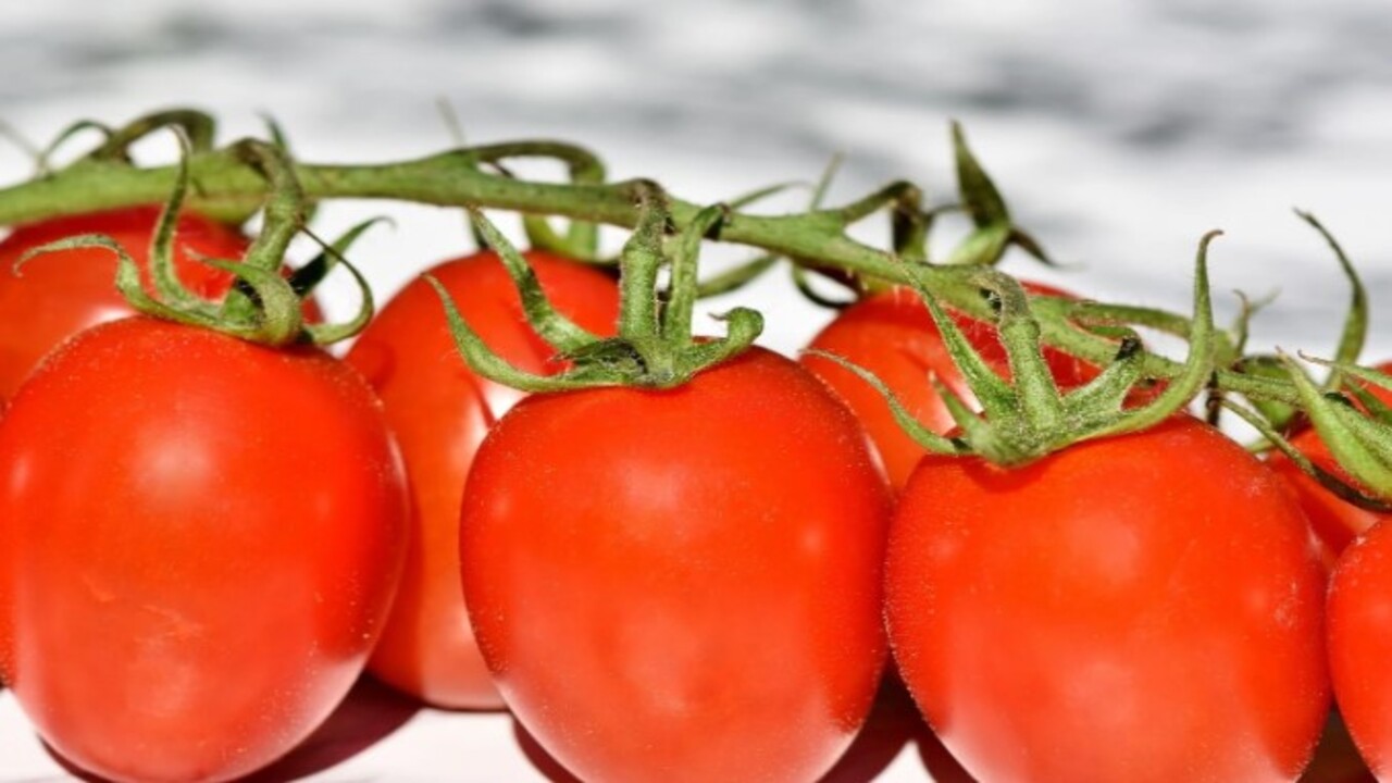 Foto - Aylarca beklese bile taze kalacak! Domatesleri bozulmadan saklamanın doğal yöntemi