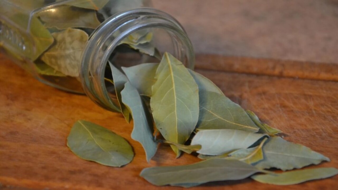 Foto - Aylarca böceklenmeden kalacak! İşte pirincin taze kalmasını sağlayan doğal yöntem