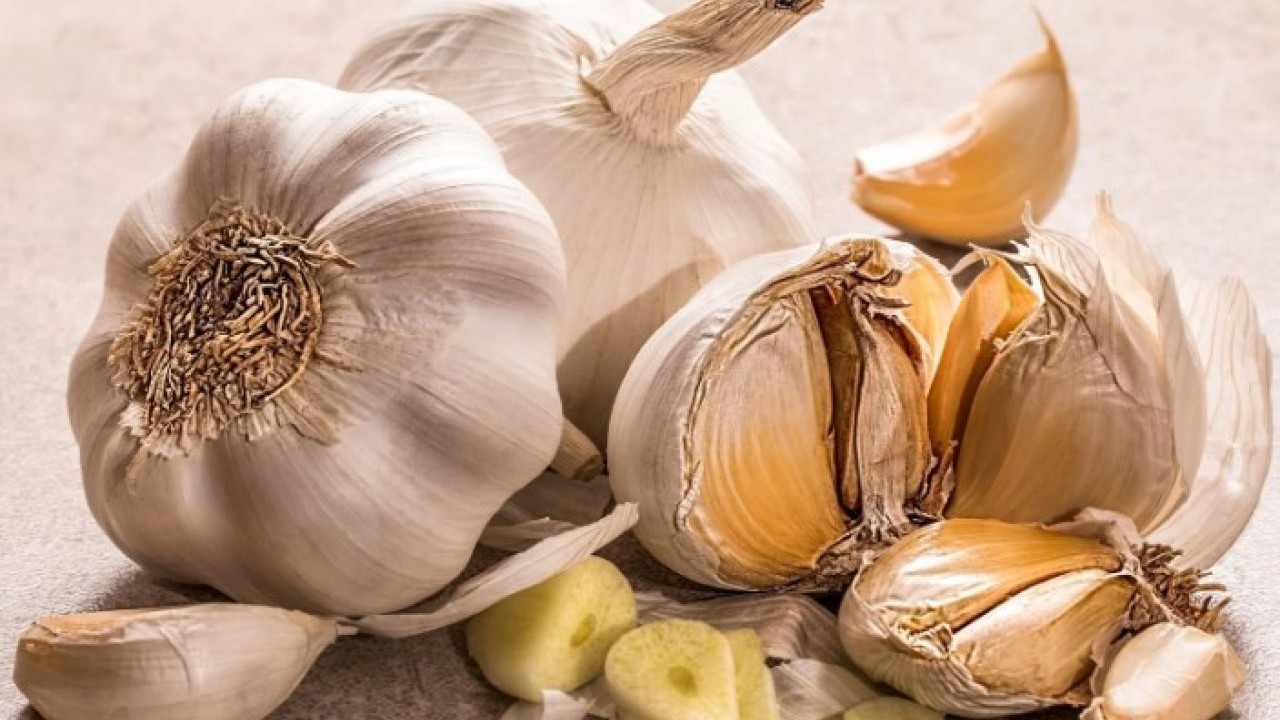Foto - Aylarca bozulmadan kalacak! Tüm kışı taze kalan sarımsakların sırrı belli oldu