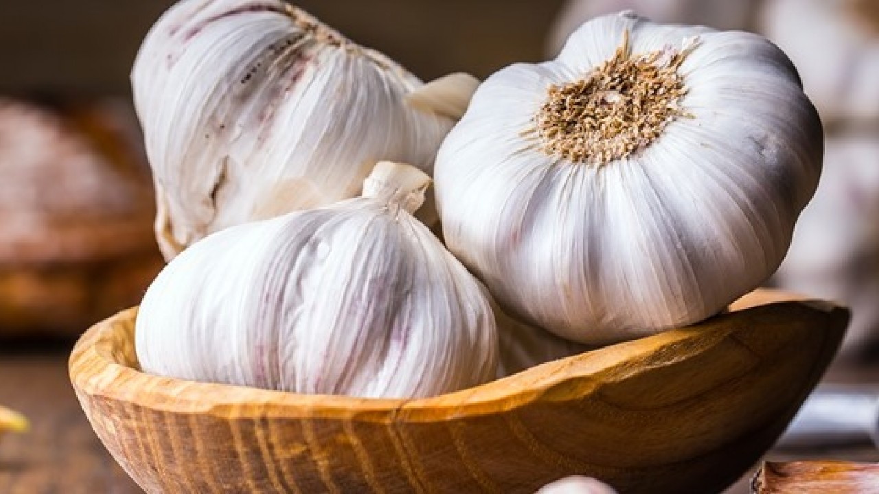 Aylarca bozulmadan kalacak! Tüm kışı taze kalan sarımsakların sırrı belli oldu