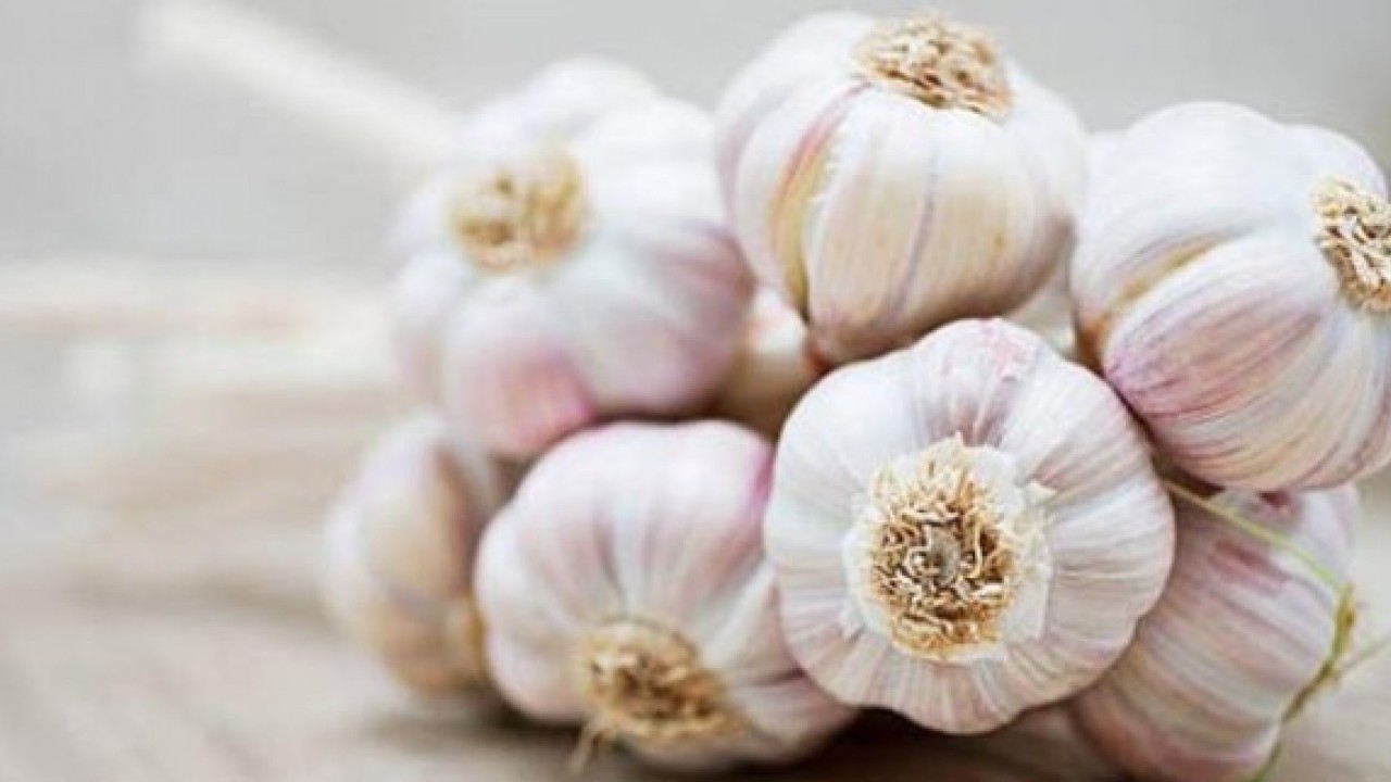 Foto - Aylarca çürümeden kalıyor! Sarımsakların içi boşalıyorsa çözümü kolay