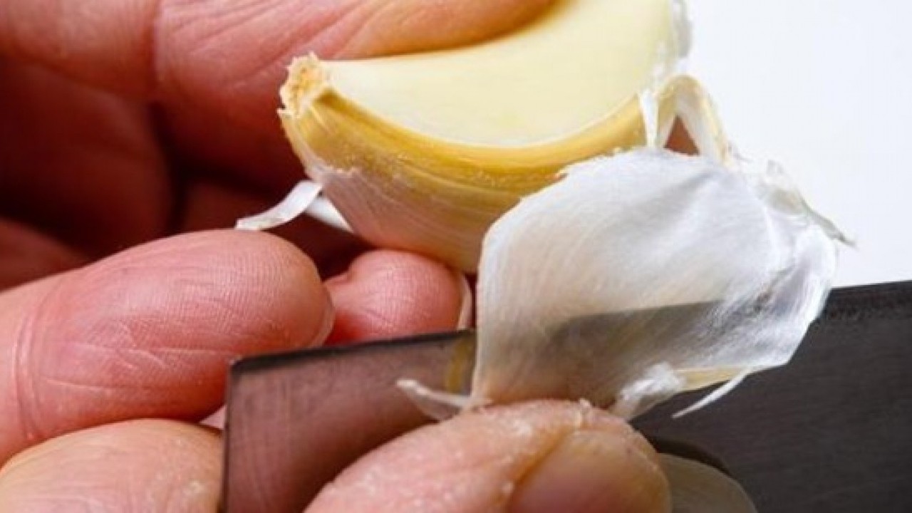 Foto - Aylarca çürümeden kalıyor! Sarımsakların içi boşalıyorsa çözümü kolay