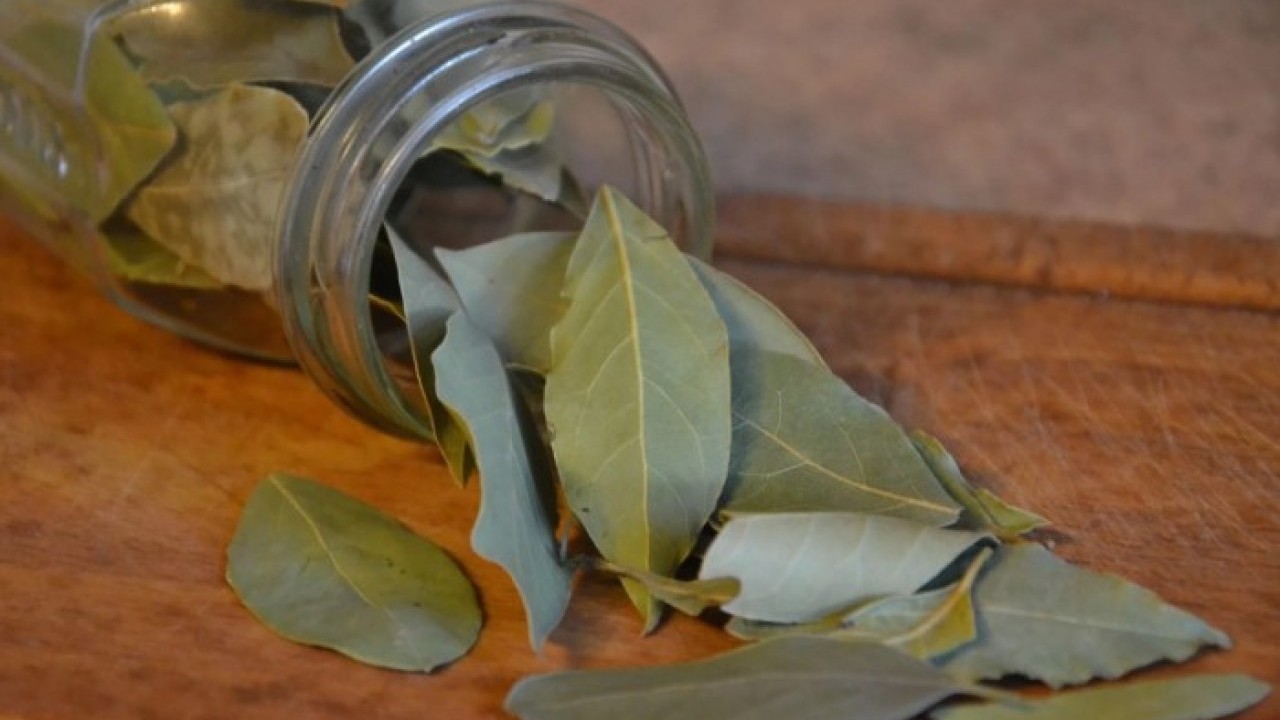 Foto - Aylarca ilk günkü gibi kalacak! Unun böceklenmesini önleyen yöntem açıklandı
