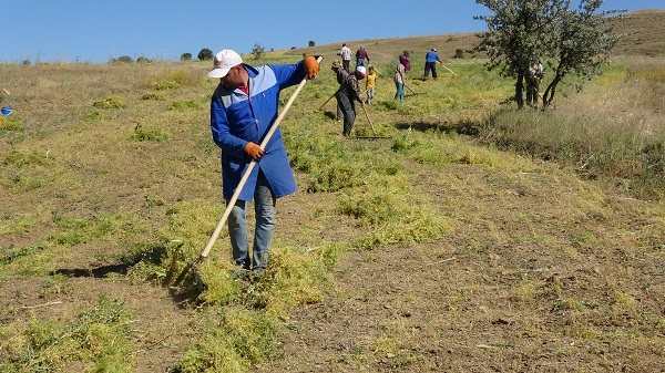 Foto - Aylıkları 45 bin lira ama çalışacak kimse yok