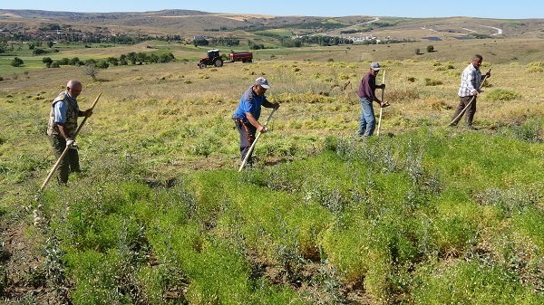 Foto - Aylıkları 45 bin lira ama çalışacak kimse yok