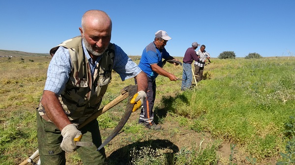 Foto - Aylıkları 45 bin lira ama çalışacak kimse yok