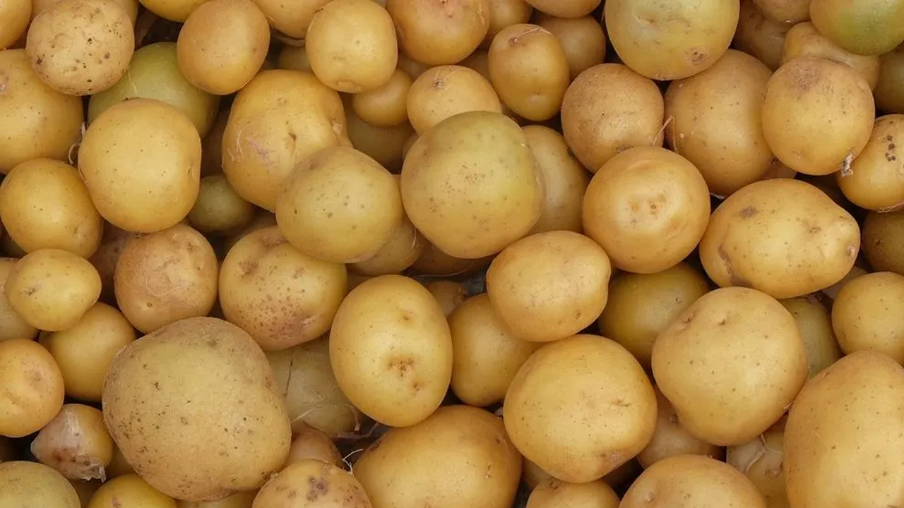 Foto - Ayna gibi parlayacak! Paslanan çelik bıçakları parlatmanın 5 yöntemi