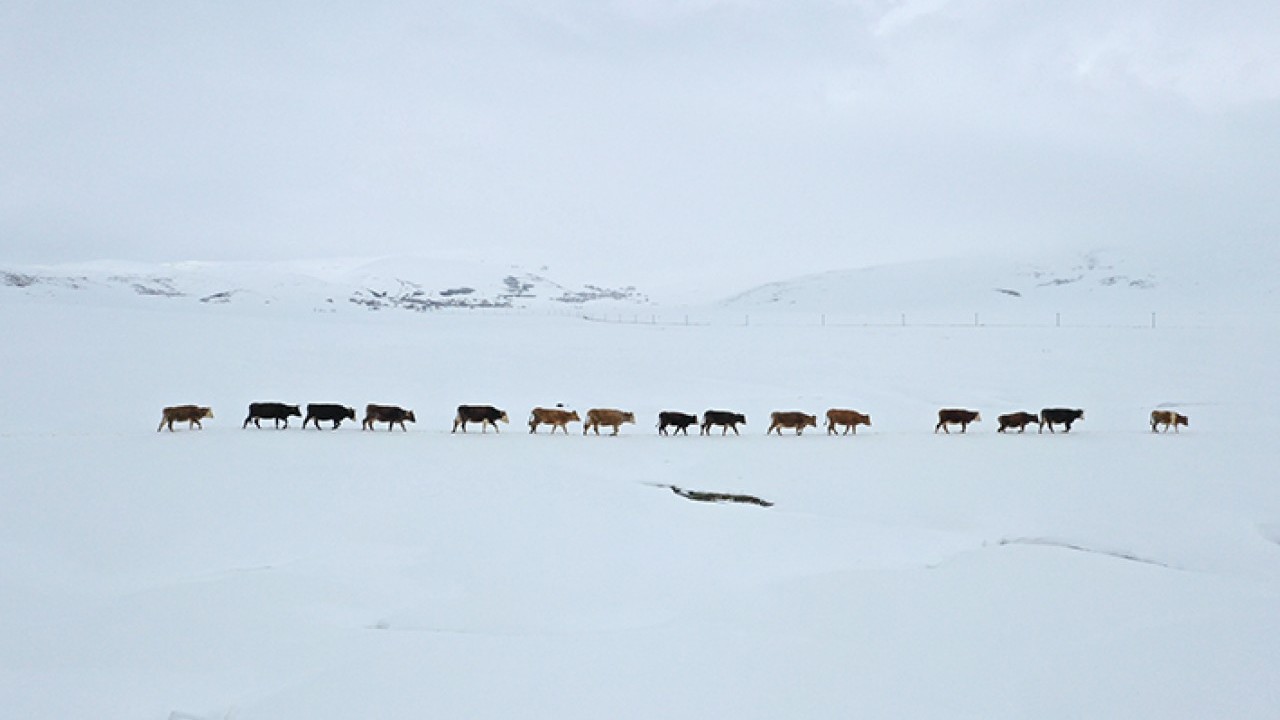 Aynı anda dağda kış ovada bahar