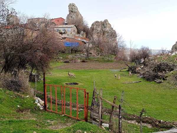 Foto - Aynı il iki farklı mevsim
