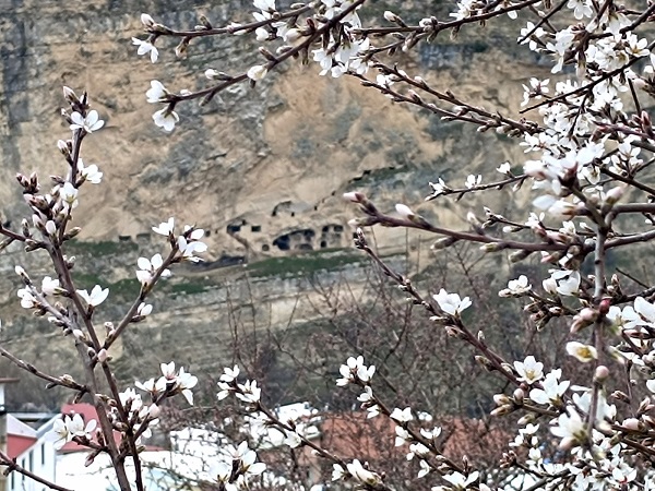 Foto - Aynı il iki farklı mevsim