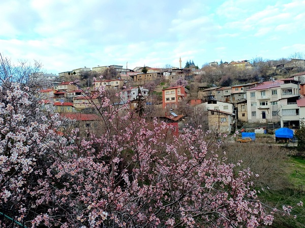 Foto - Aynı il iki farklı mevsim