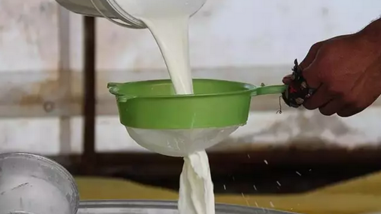 Foto - Ayranın içine 1 kaşık ekleyin! Tansiyonun kökünü kurutuyor! Buruş buruş damarları açıp vücudu toksinlerden arındırıyor