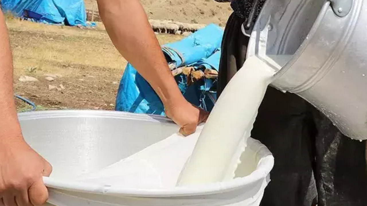 Foto - Ayranın içine 1 kaşık ekleyin! Tansiyonun kökünü kurutuyor! Buruş buruş damarları açıp vücudu toksinlerden arındırıyor