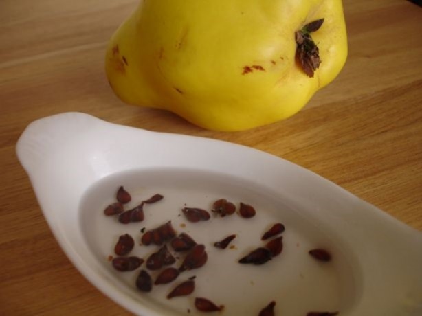 Foto - Ayva çekirdeğinin inanılmaz faydaları