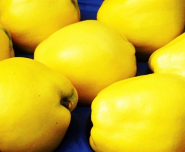 Foto - Ayva kabuğundaki şifa