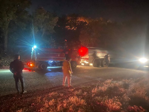 Foto - Ayvacık'ta orman yangını: 1 köy boşaltıldı