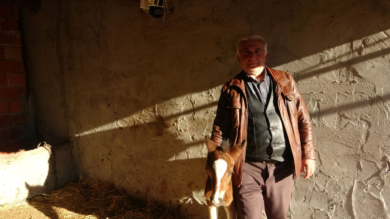 Foto - Ayvacık’ta yürek ısıtan hikaye! İmkansız gibi ama gerçek