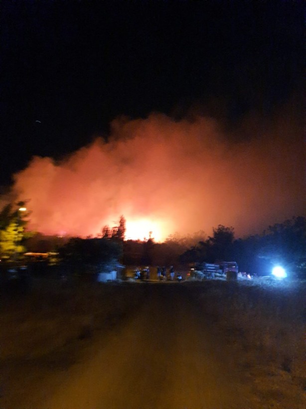 Ayvalık'ta orman yangını