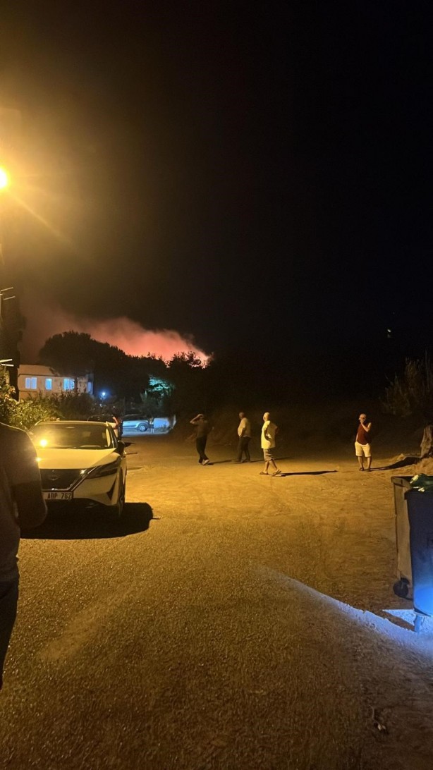 Foto - Ayvalık'ta orman yangını