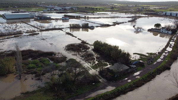 Foto - Ayvalık'ta son durum görüntülendi