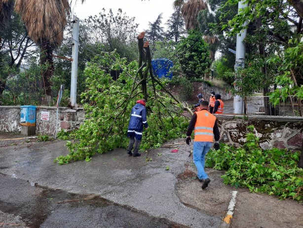 Foto - Ayvalık'ta tekneler battı