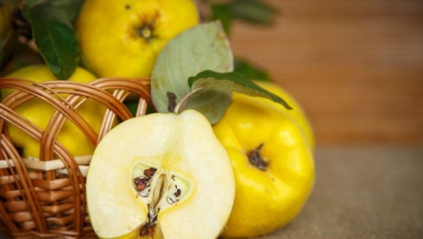 Foto - 'Ayvayı yememek' için ayva tüketin