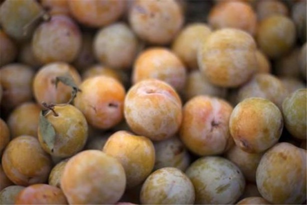 Foto - Az bilinen sağlıklı 10 besin