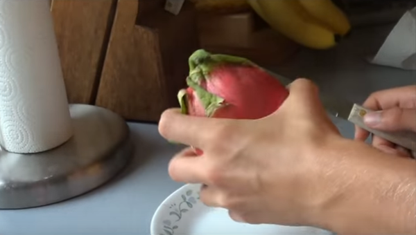 Foto - Az biliniyor ama çok faydalı! İşte ejder meyvesi...