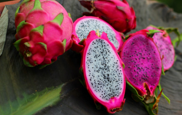 Foto - Az biliniyor ama çok faydalı! İşte ejder meyvesi...