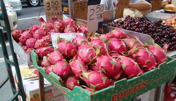 Foto - Az biliniyor ama çok faydalı! İşte ejder meyvesi...