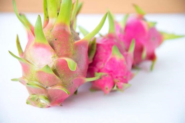 Foto - Az biliniyor ama çok faydalı! İşte ejder meyvesi...