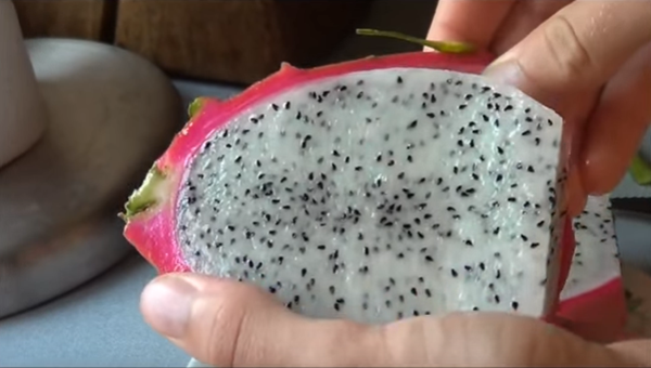 Foto - Az biliniyor ama çok faydalı! İşte ejder meyvesi...