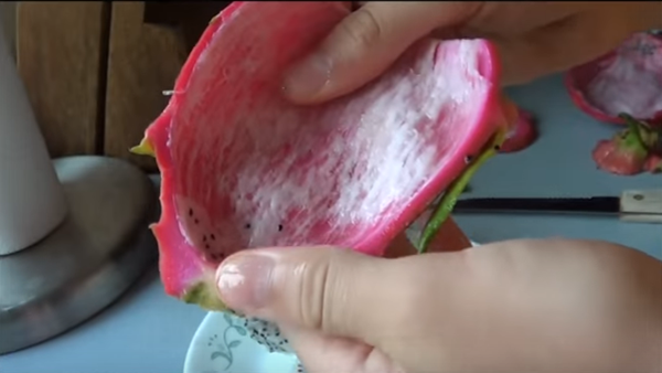 Foto - Az biliniyor ama çok faydalı! İşte ejder meyvesi...