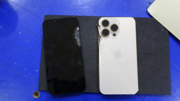 Foto - Az daha canından oluyordu! Maganda kurşunundan böyle kurtuldu