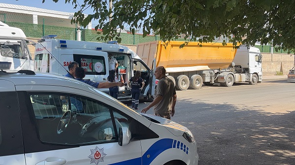 Foto - Az daha canlarından oluyorlardı! 