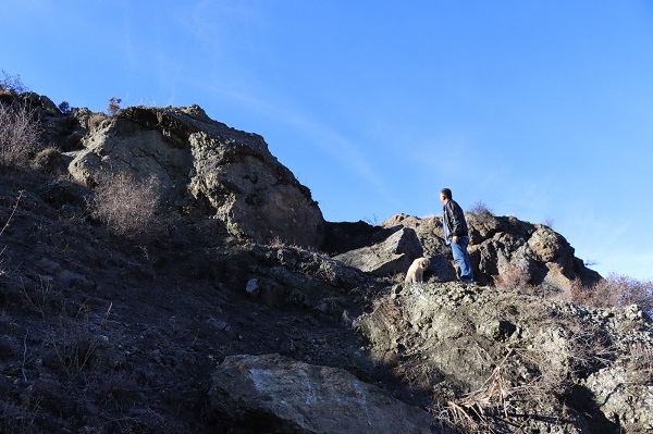 Foto - Az daha canlarından oluyorlardı! Tonlarca ağırlıkta evin içine böyle girdi