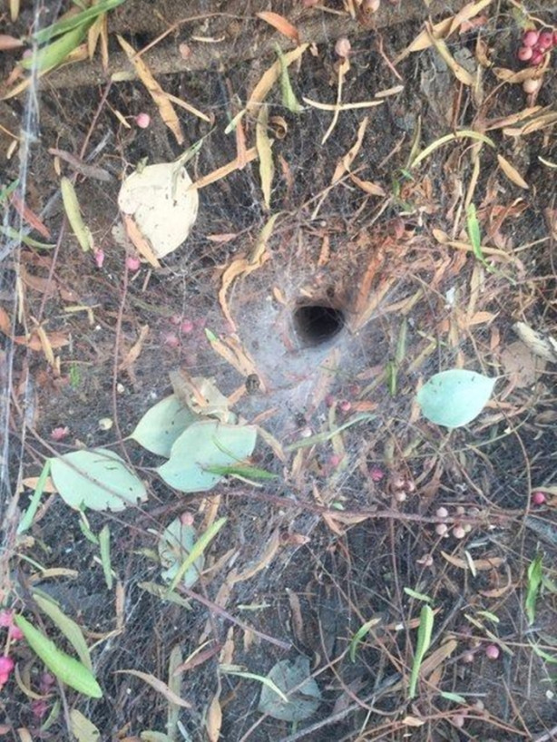 Foto - Az kalsın canından olacaktı! Bakın neden...