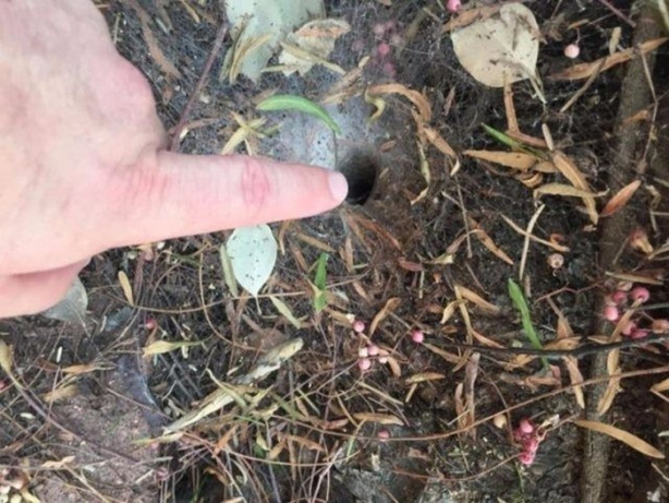 Foto - Az kalsın canından olacaktı! Bakın neden...