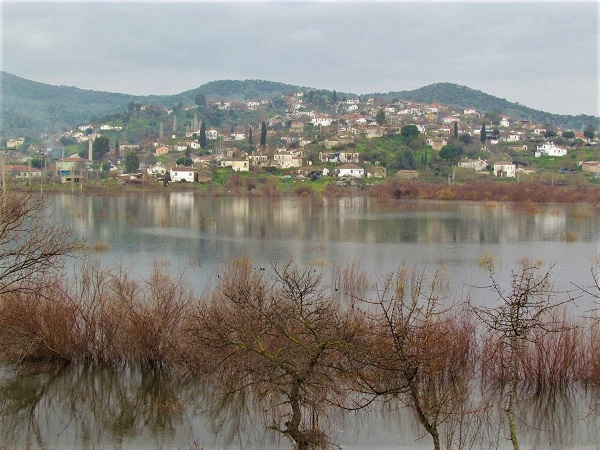 Foto - Azap Gölü yaban hayatına kucak açıyor