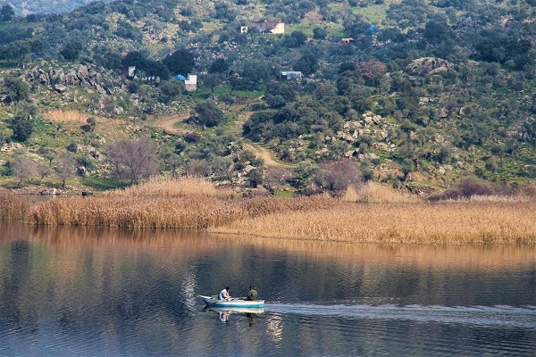 Foto - Azap Gölü yaban hayatına kucak açıyor