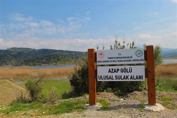 Foto - Azap Gölü yaban hayatına kucak açıyor