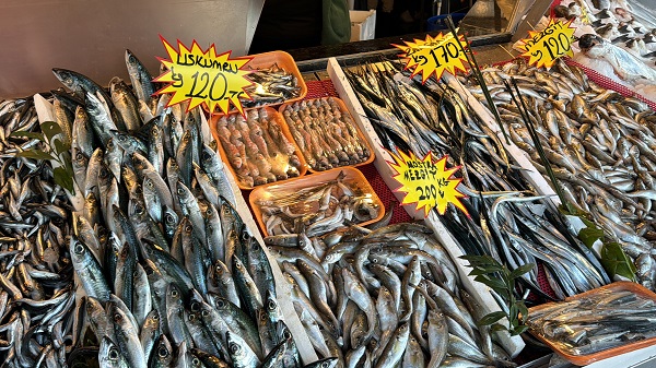 Foto - Azman balık bolluğu yaşanıyor